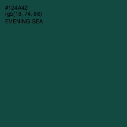 #124A42 - Evening Sea Color Image