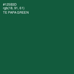 #125B3D - Te Papa Green Color Image
