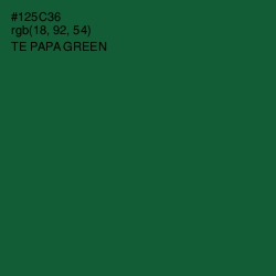 #125C36 - Te Papa Green Color Image