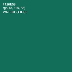#126E58 - Watercourse Color Image