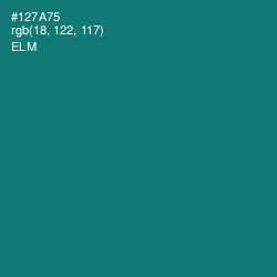 #127A75 - Elm Color Image