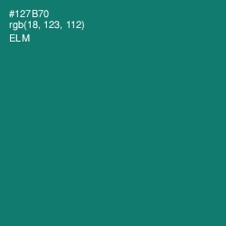 #127B70 - Elm Color Image
