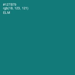 #127B79 - Elm Color Image