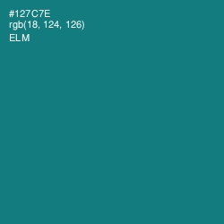 #127C7E - Elm Color Image