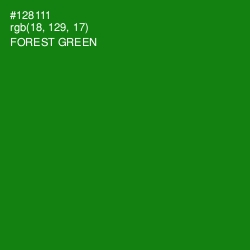 #128111 - Forest Green Color Image