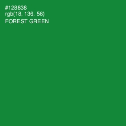 #128838 - Forest Green Color Image