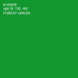 #12962E - Forest Green Color Image