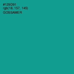 #129D91 - Gossamer Color Image