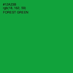 #12A23B - Forest Green Color Image