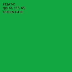 #12A741 - Green Haze Color Image