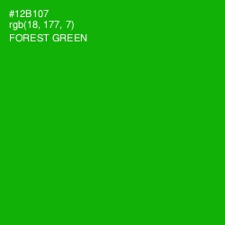 #12B107 - Forest Green Color Image