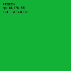 #12B237 - Forest Green Color Image