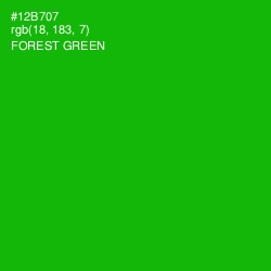 #12B707 - Forest Green Color Image