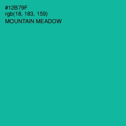 #12B79F - Mountain Meadow Color Image