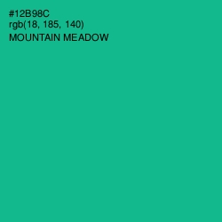 #12B98C - Mountain Meadow Color Image