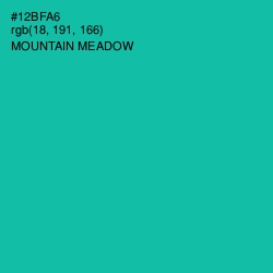 #12BFA6 - Mountain Meadow Color Image