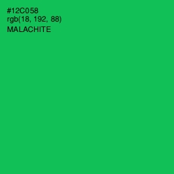 #12C058 - Malachite Color Image