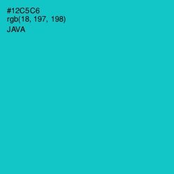 #12C5C6 - Java Color Image