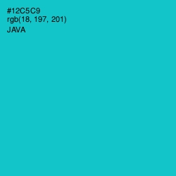 #12C5C9 - Java Color Image