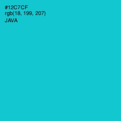 #12C7CF - Java Color Image