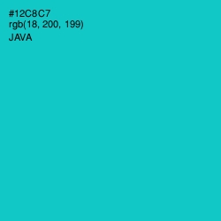 #12C8C7 - Java Color Image