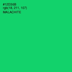 #12D36B - Malachite Color Image
