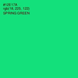 #12E17A - Spring Green Color Image