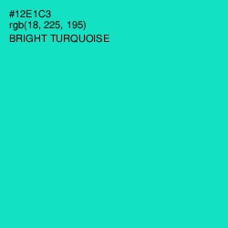 #12E1C3 - Bright Turquoise Color Image