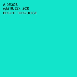 #12E3CB - Bright Turquoise Color Image