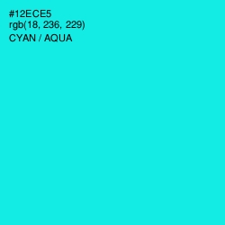 #12ECE5 - Cyan / Aqua Color Image