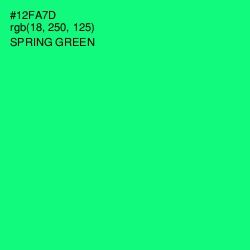 #12FA7D - Spring Green Color Image