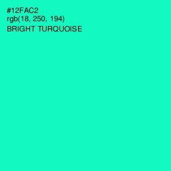 #12FAC2 - Bright Turquoise Color Image