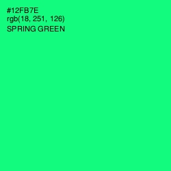#12FB7E - Spring Green Color Image