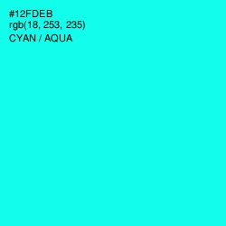 #12FDEB - Cyan / Aqua Color Image