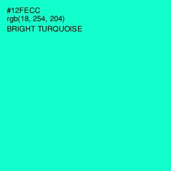 #12FECC - Bright Turquoise Color Image