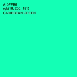 #12FFB5 - Caribbean Green Color Image