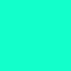 #12FFCC - Bright Turquoise Color Image