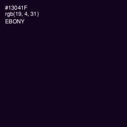 #13041F - Ebony Color Image