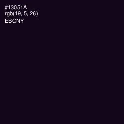 #13051A - Ebony Color Image