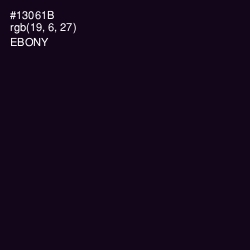 #13061B - Ebony Color Image