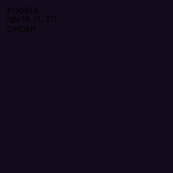 #130B1B - Cinder Color Image