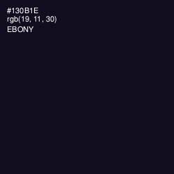 #130B1E - Ebony Color Image