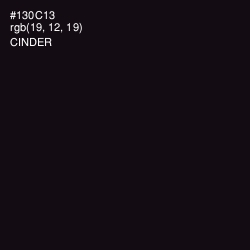 #130C13 - Cinder Color Image