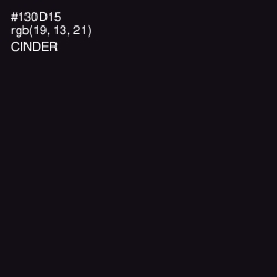 #130D15 - Cinder Color Image