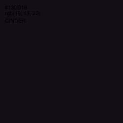 #130D16 - Cinder Color Image