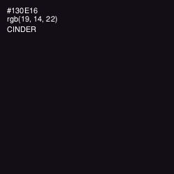 #130E16 - Cinder Color Image