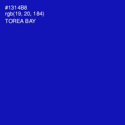 #1314B8 - Torea Bay Color Image