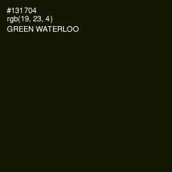 #131704 - Green Waterloo Color Image