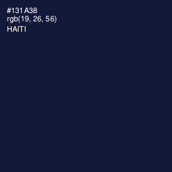#131A38 - Haiti Color Image