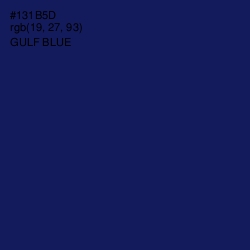 #131B5D - Gulf Blue Color Image